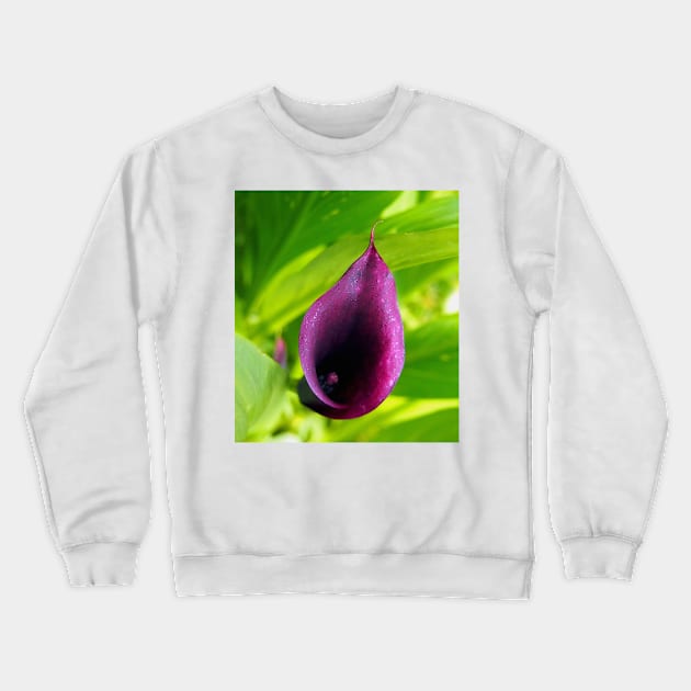 Deep Plum Purple Calla Lilly Flower in the Garden Crewneck Sweatshirt by Scubagirlamy